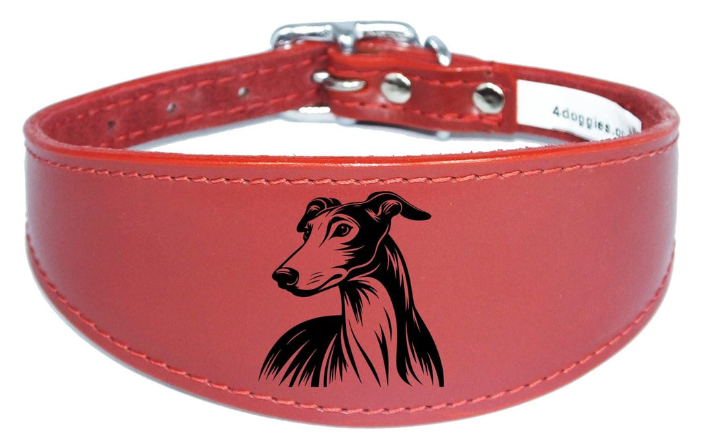 Whippet Greyhound Sighthound Padded Leather Luxury Collar NL 24