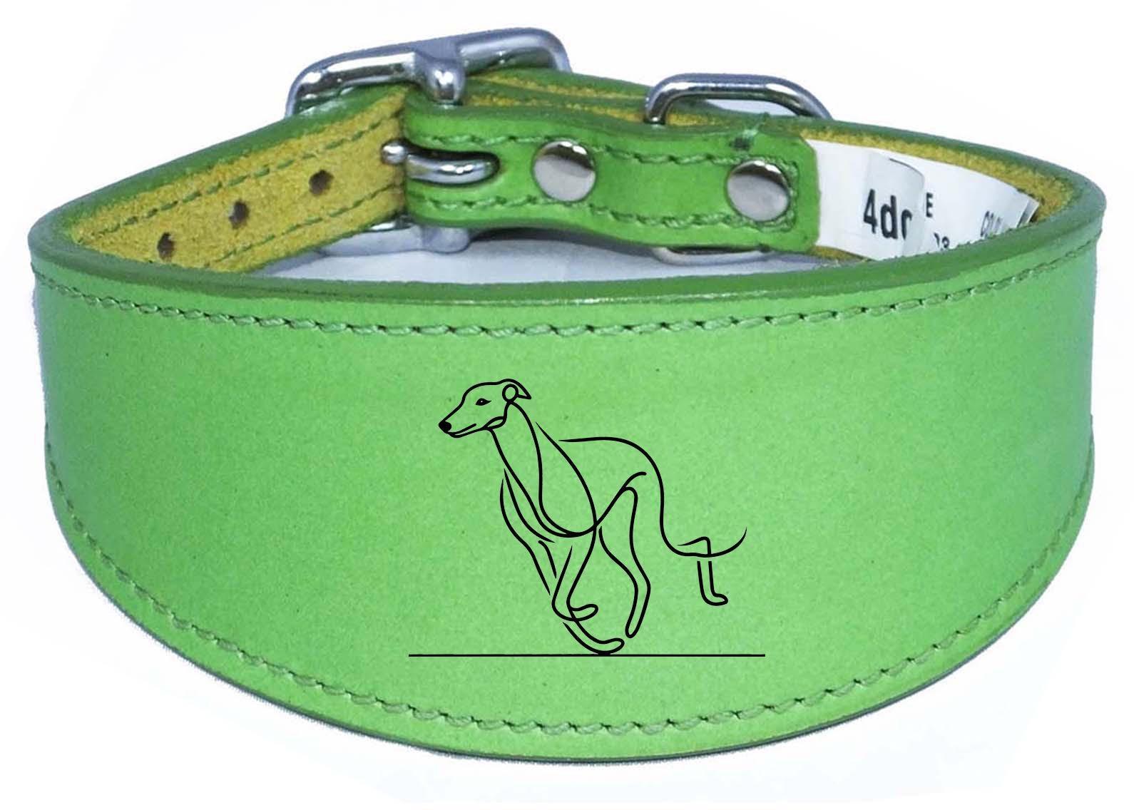 Sighthound Whippet Dog Collar Leather Greyhound with Padded Backing NL 6