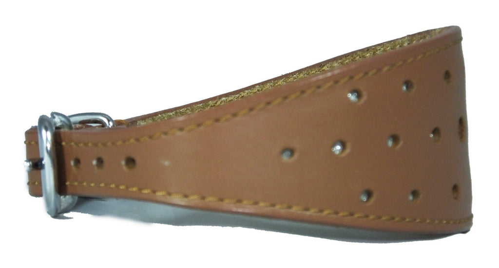 Tan Circle Glitter Design Leather Whippet Collar Greyhound Collar Sight hound Dogs Collar