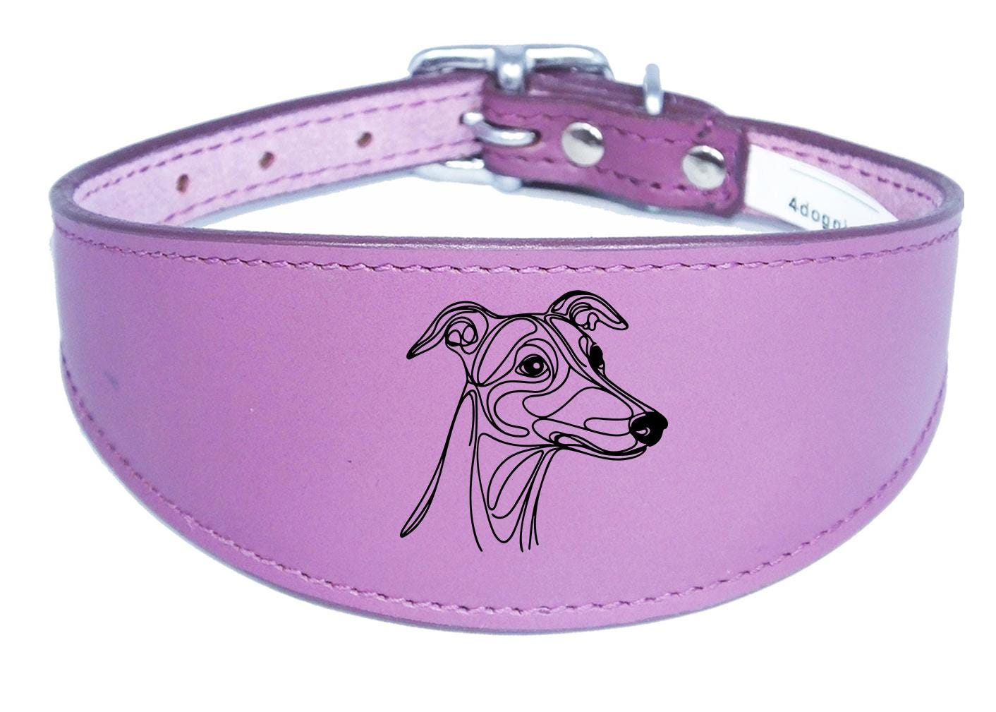Wide Leather Collar For Greyhound Whippet Sighthound NL 33