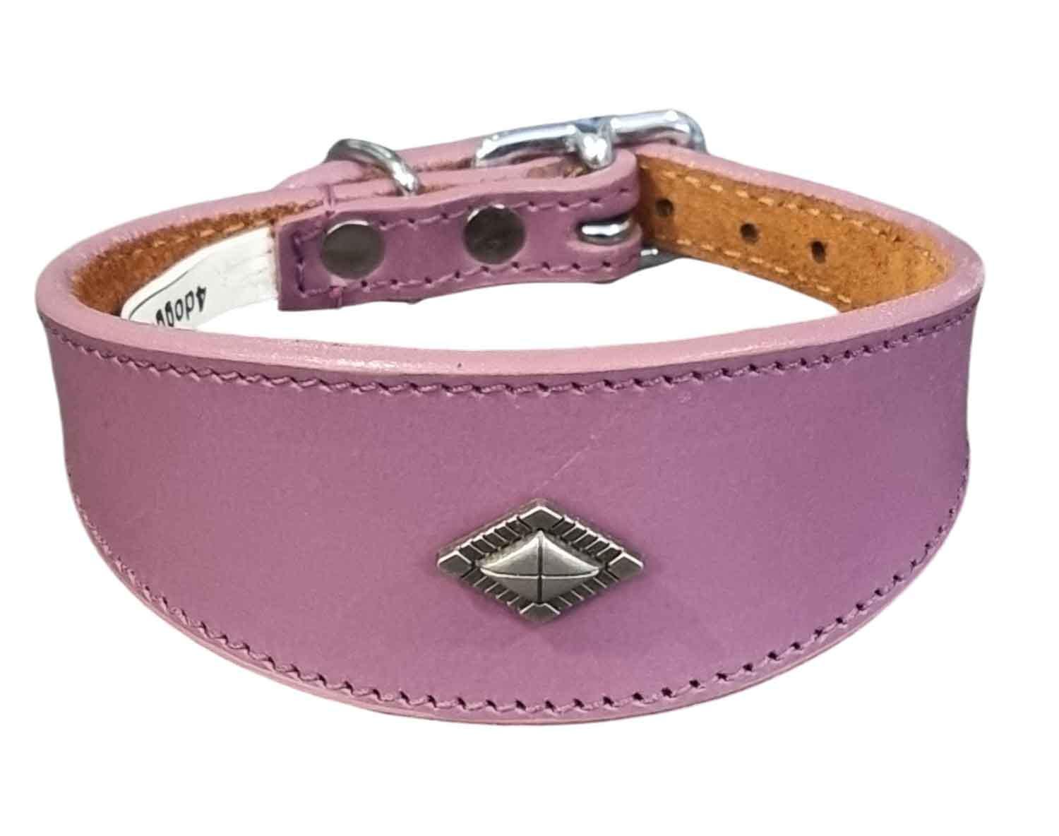 Leather Collar For Whippet Greyhound Lurcher Decorative Stud Design DS 1