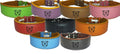 Leather Padded collar Staffordshire Bull Terrier Dog Collar Padded Dog Collars Staffy Bulldog Dogs Face