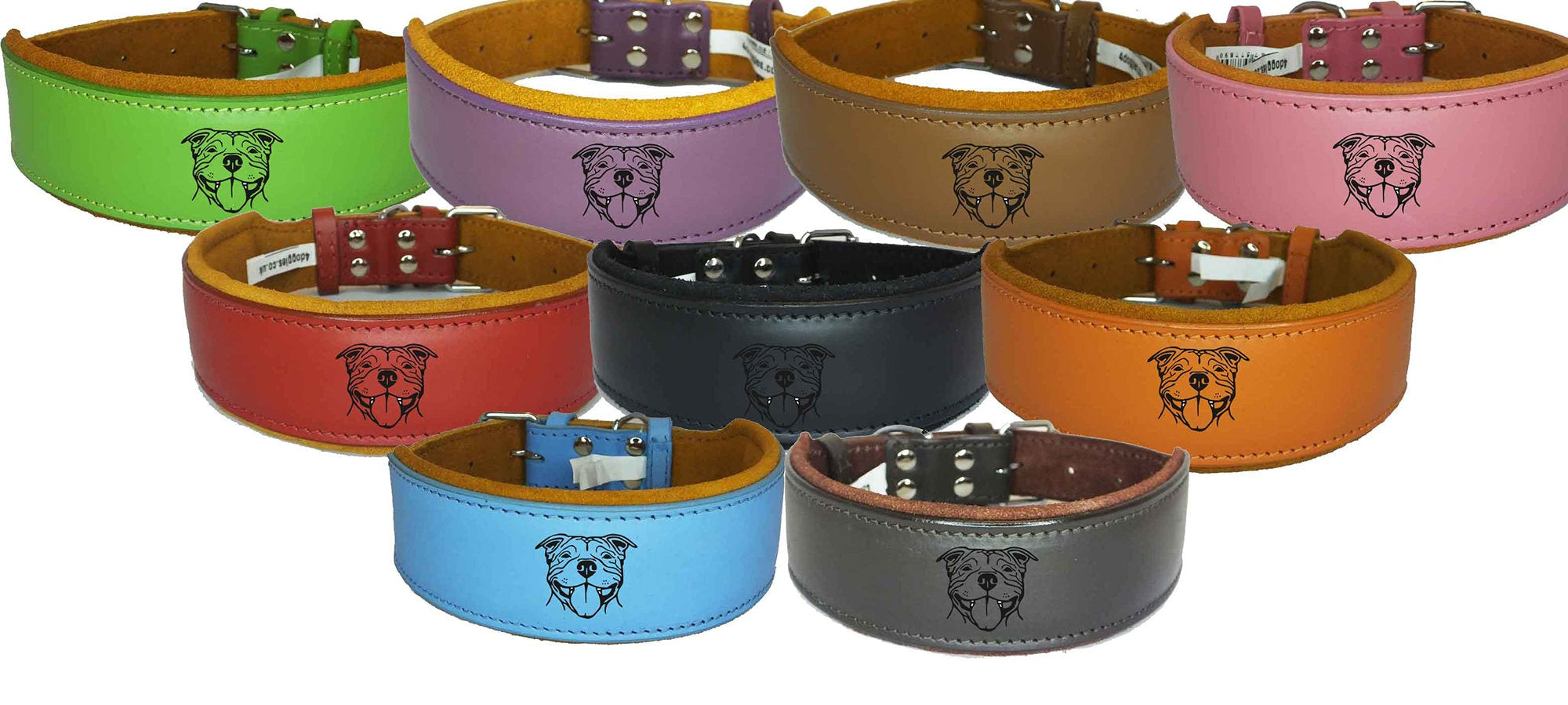 Leather Padded collar Staffordshire Bull Terrier Dog Collar Padded Dog Collars Staffy Bulldog Dogs Face