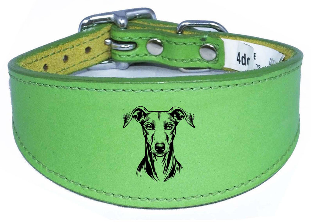 Handmade Wide Leather Sighthound Whippet Greyhound Collar NL 45