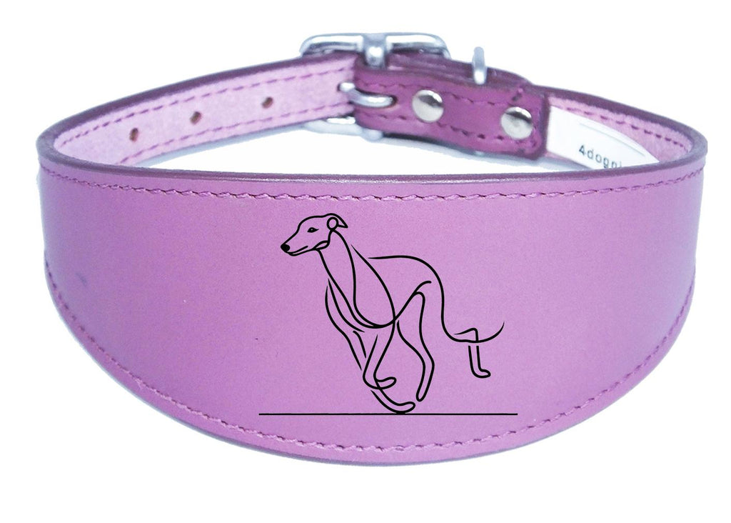 Sighthound Whippet Dog Collar Leather Greyhound with Padded Backing NL 6
