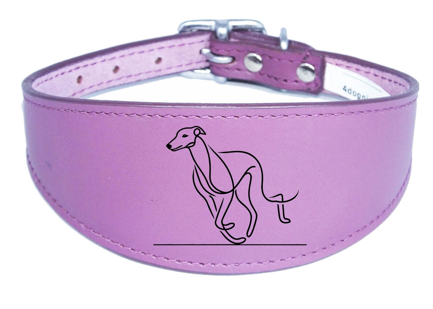 Sighthound Whippet Dog Collar Leather Greyhound with Padded Backing NL 6