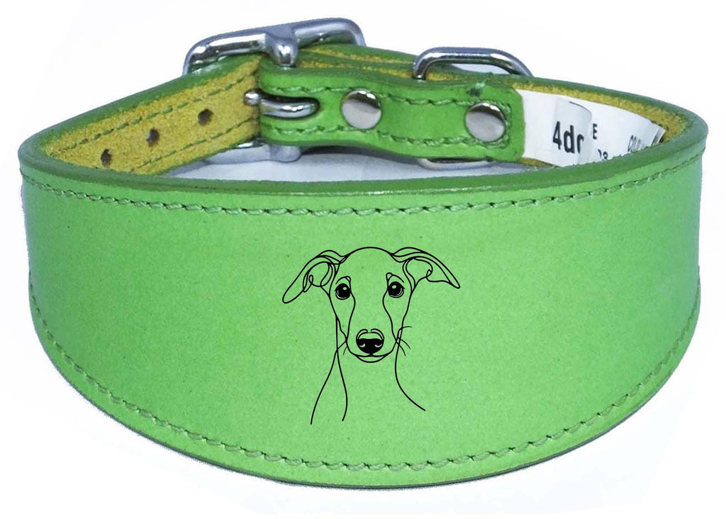 Wide Whippet Dog Collar Greyhound Sighthound  with Padded Backing NL 12