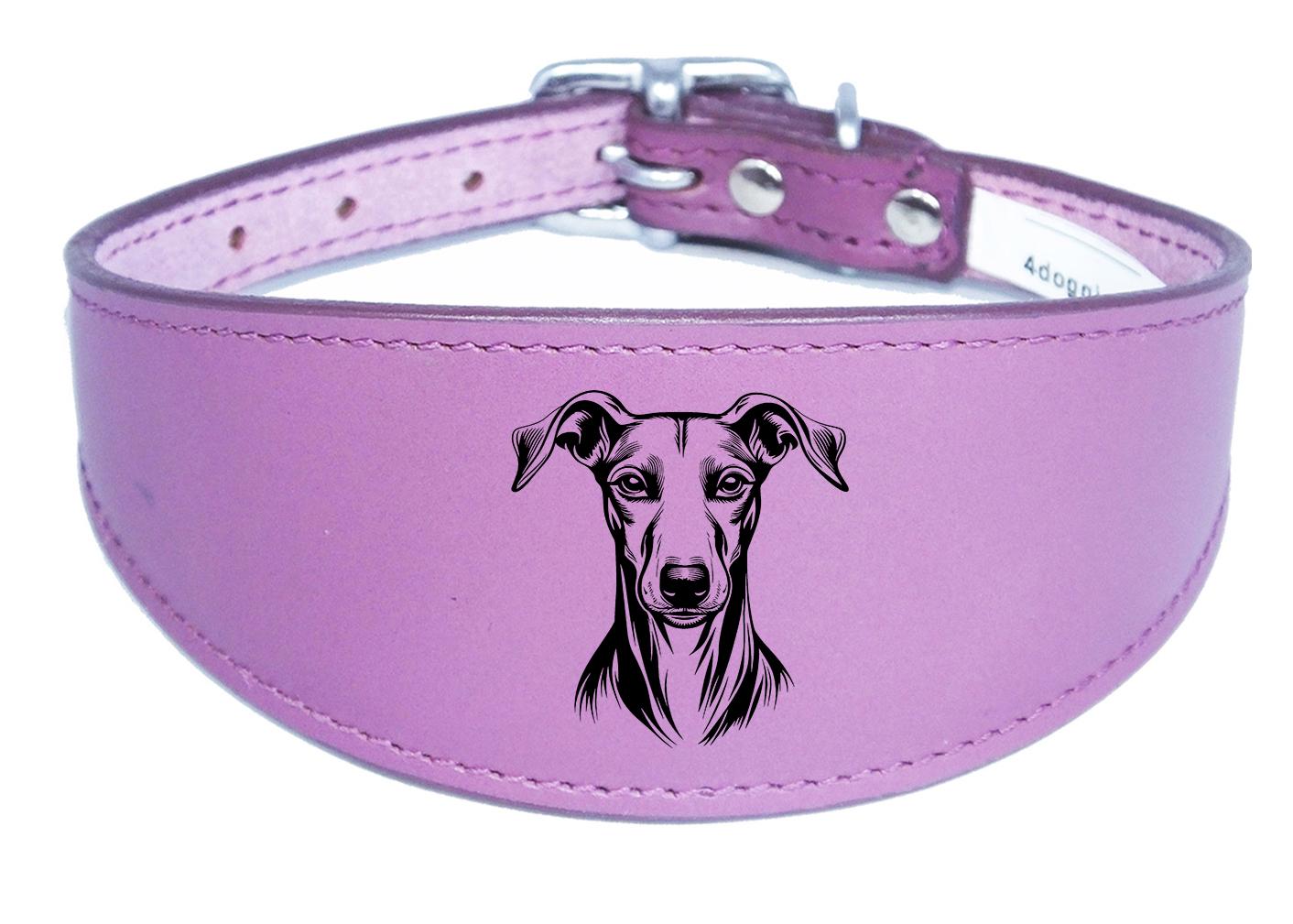 Handmade Wide Leather Sighthound Whippet Greyhound Collar NL 45