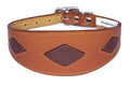 Tan Leather Whippet Collar Greyhound Collar With Brown Diamond Shape Design