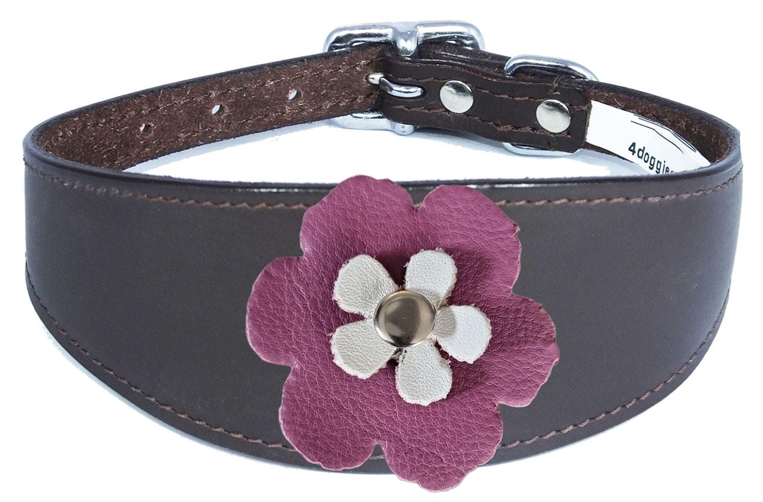 Decorative Flower Design Leather Collar For Sighthound Whippet Greyhound Lurcher FD2-7