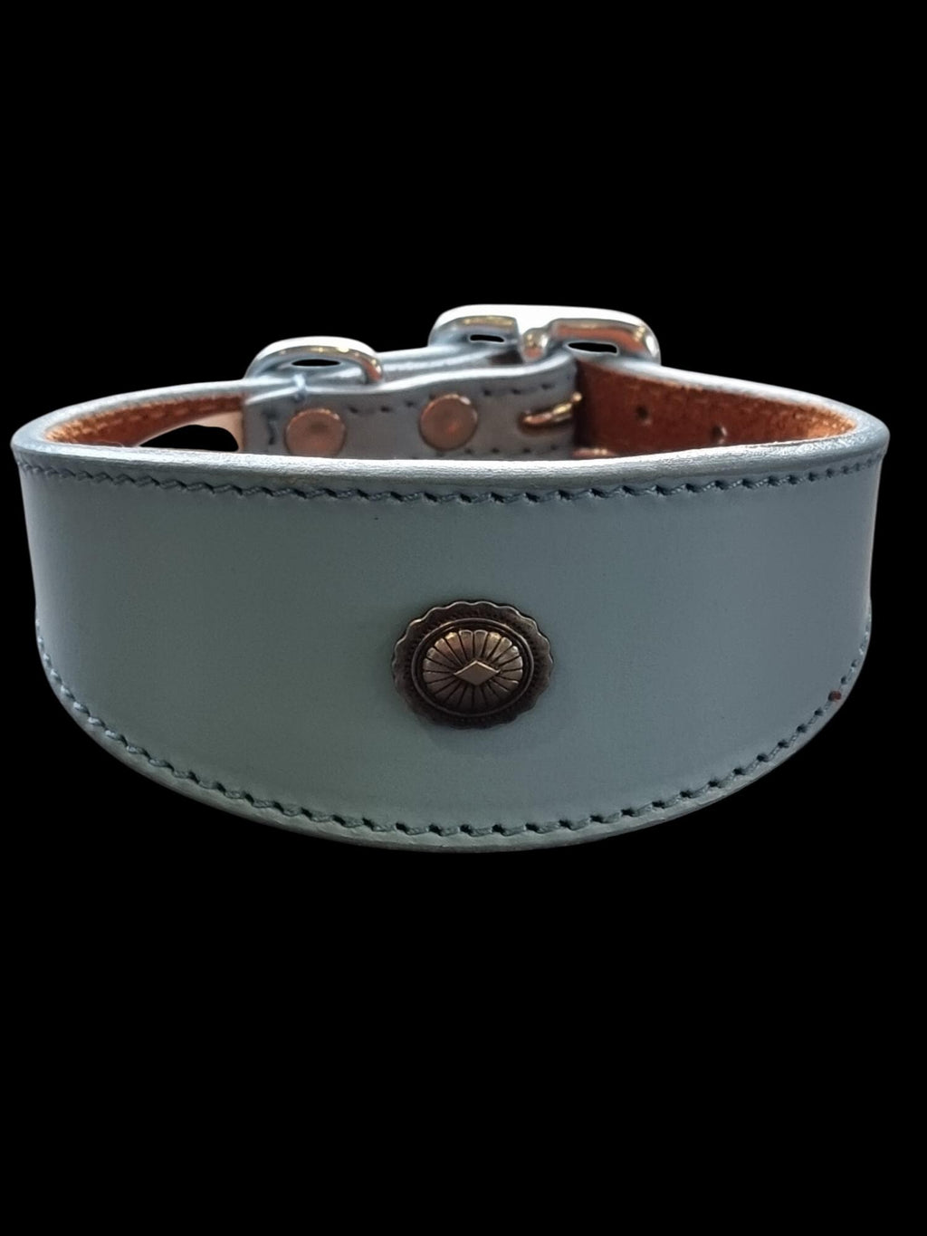 Leather Collar For Iggy, Whippet Greyhound Lurcher Decorative Stud Design DS2