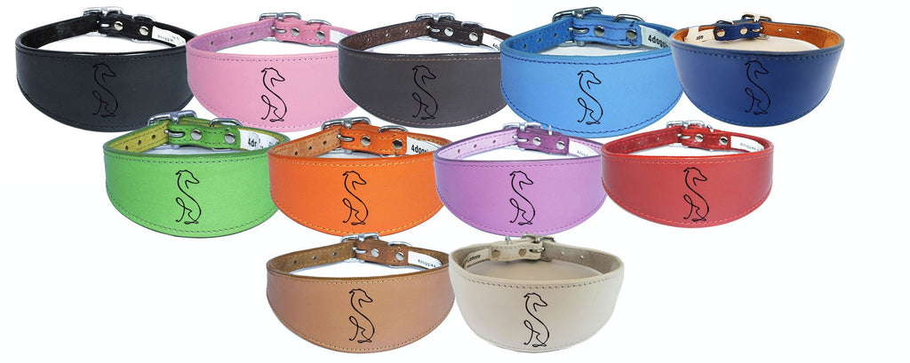 Italian Greyhound Whippet Collar Greyhound Sighthound Leather Padded Backing D42