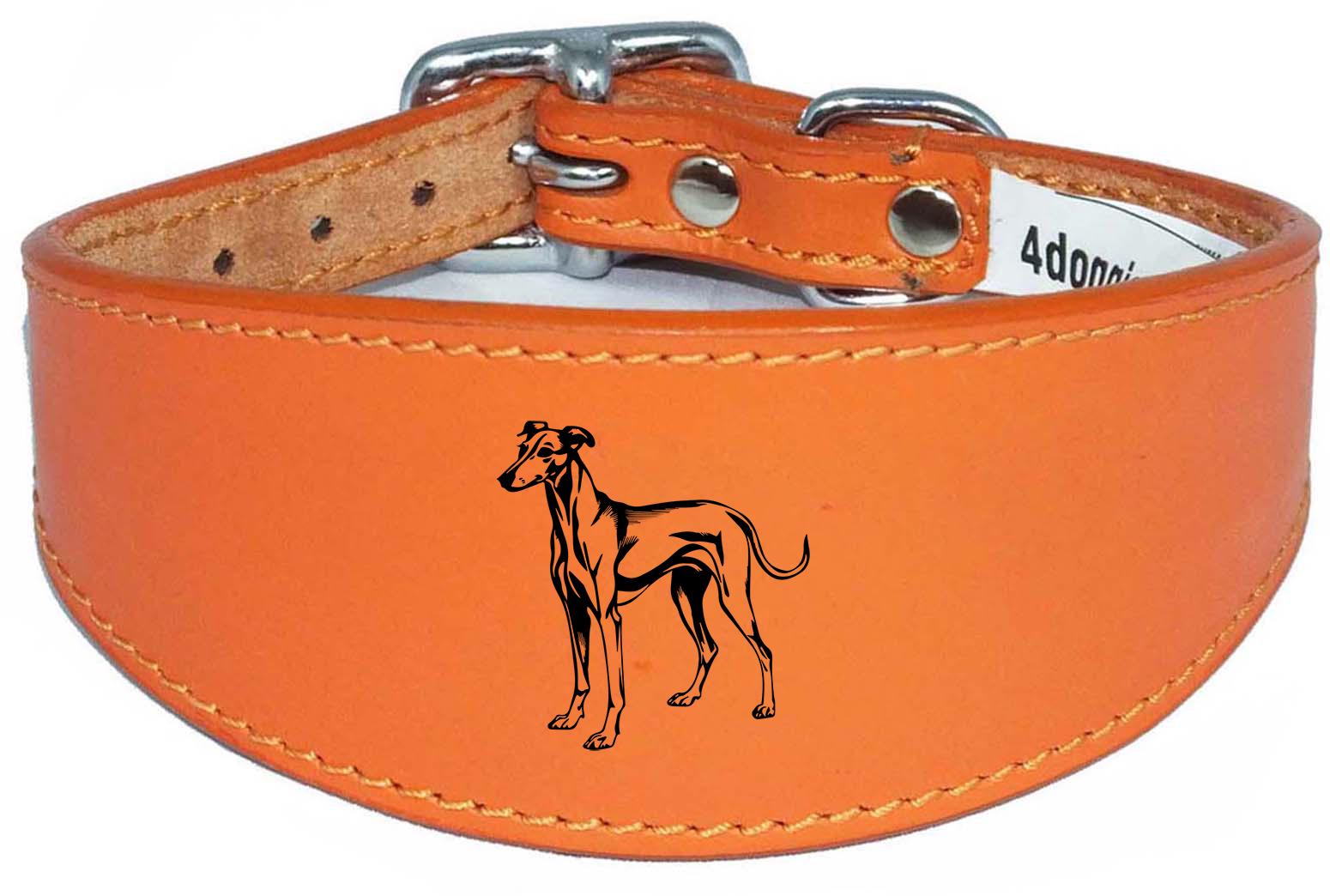 Whippet Greyhound Sighthound Padded Leather Luxury Collar NL 25