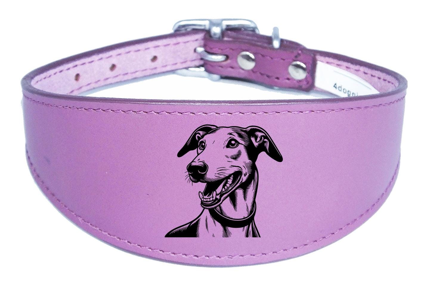 Wide Leather Handmade Sighthound Whippet Greyhound Collar NL 46