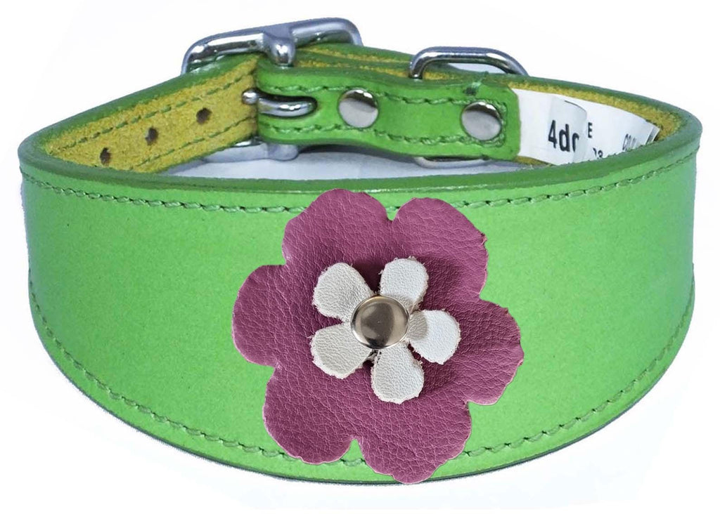 Decorative Flower Design Leather Collar For Sighthound Whippet Greyhound Lurcher FD2-7