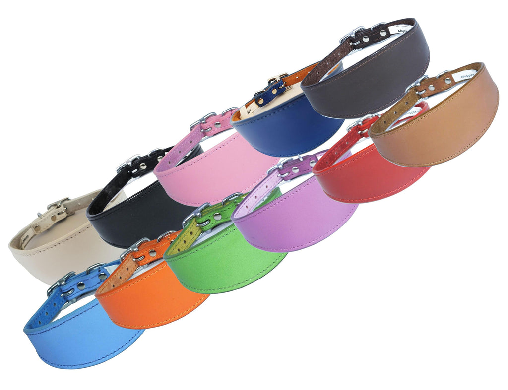 Iggy, Whippet, Greyhound, Lurcher Plain Leather Collar Sude Backing