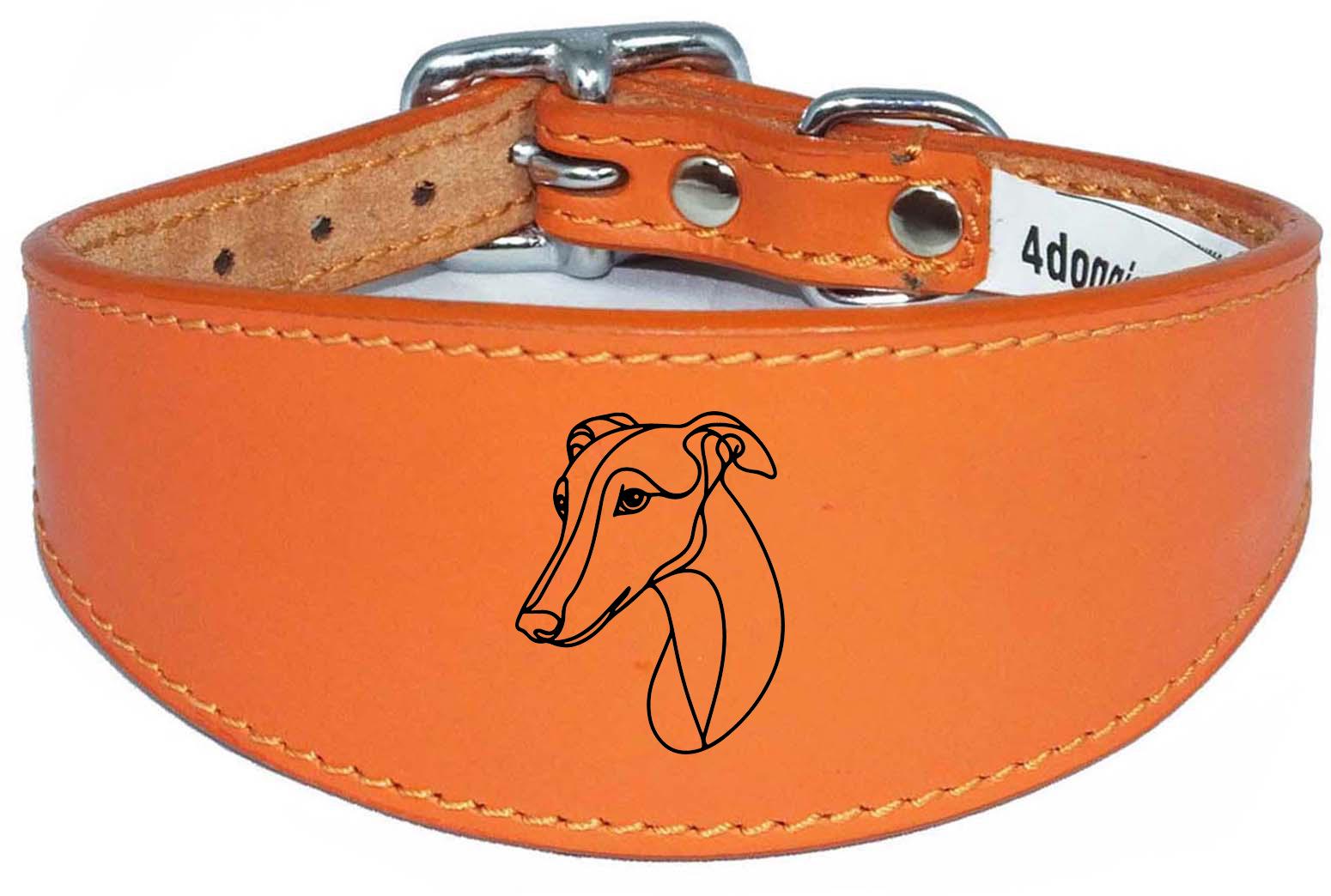 Luxury Padded Leather Sighthound Whippet Collar  Handmade in the UK NL 20