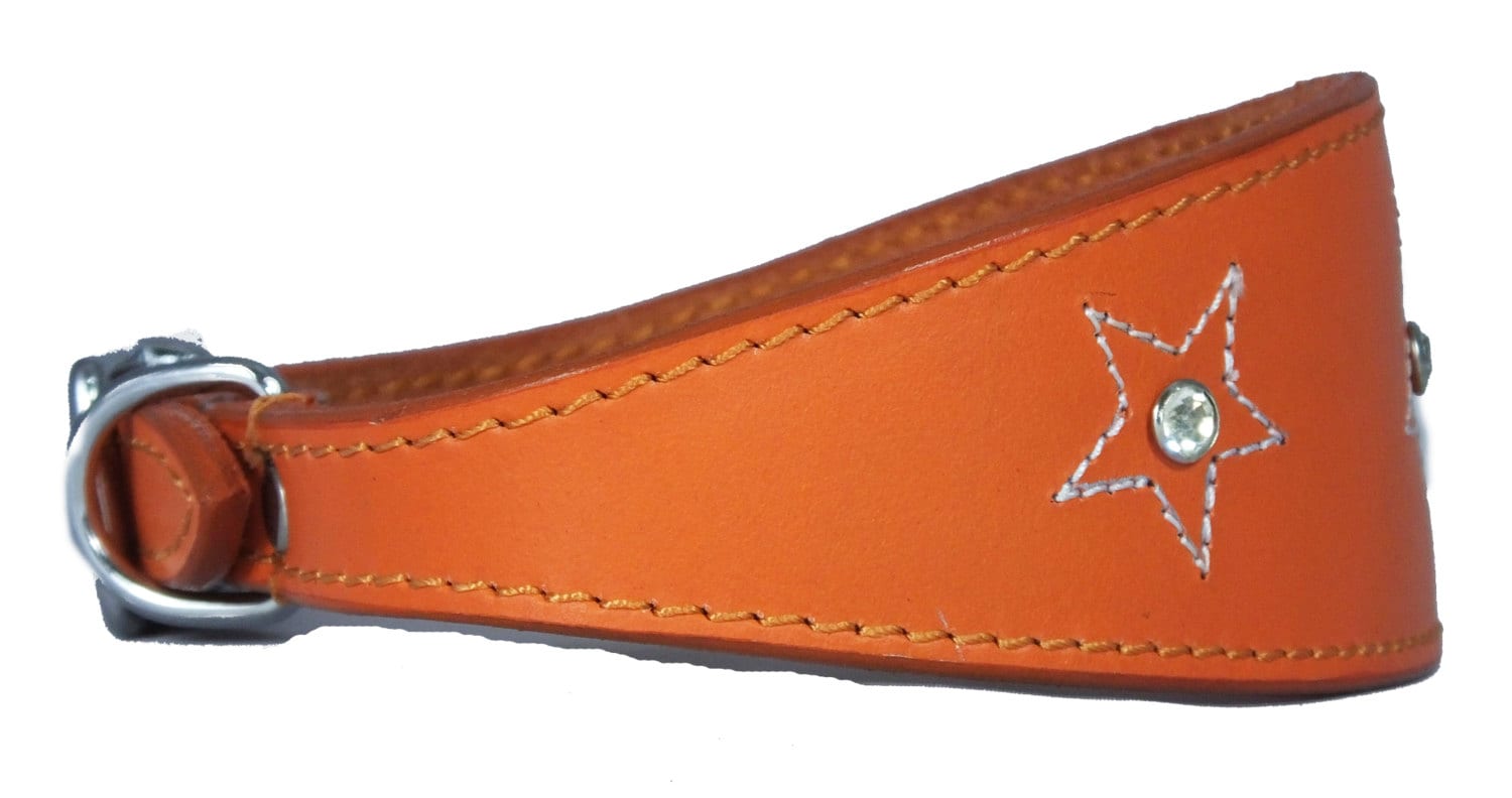 Orange Star Diamante Stitch Design Leather Whippet Collar Greyhound Collar Sight hound Dogs Collar