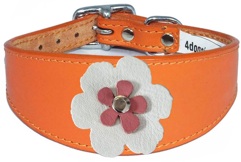 Whippet Greyhound Sighthound Lurcher Decorative Flower Design Leather Collar FD7-6