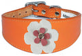 Whippet Greyhound Sighthound Lurcher Decorative Flower Design Leather Collar FD7-6