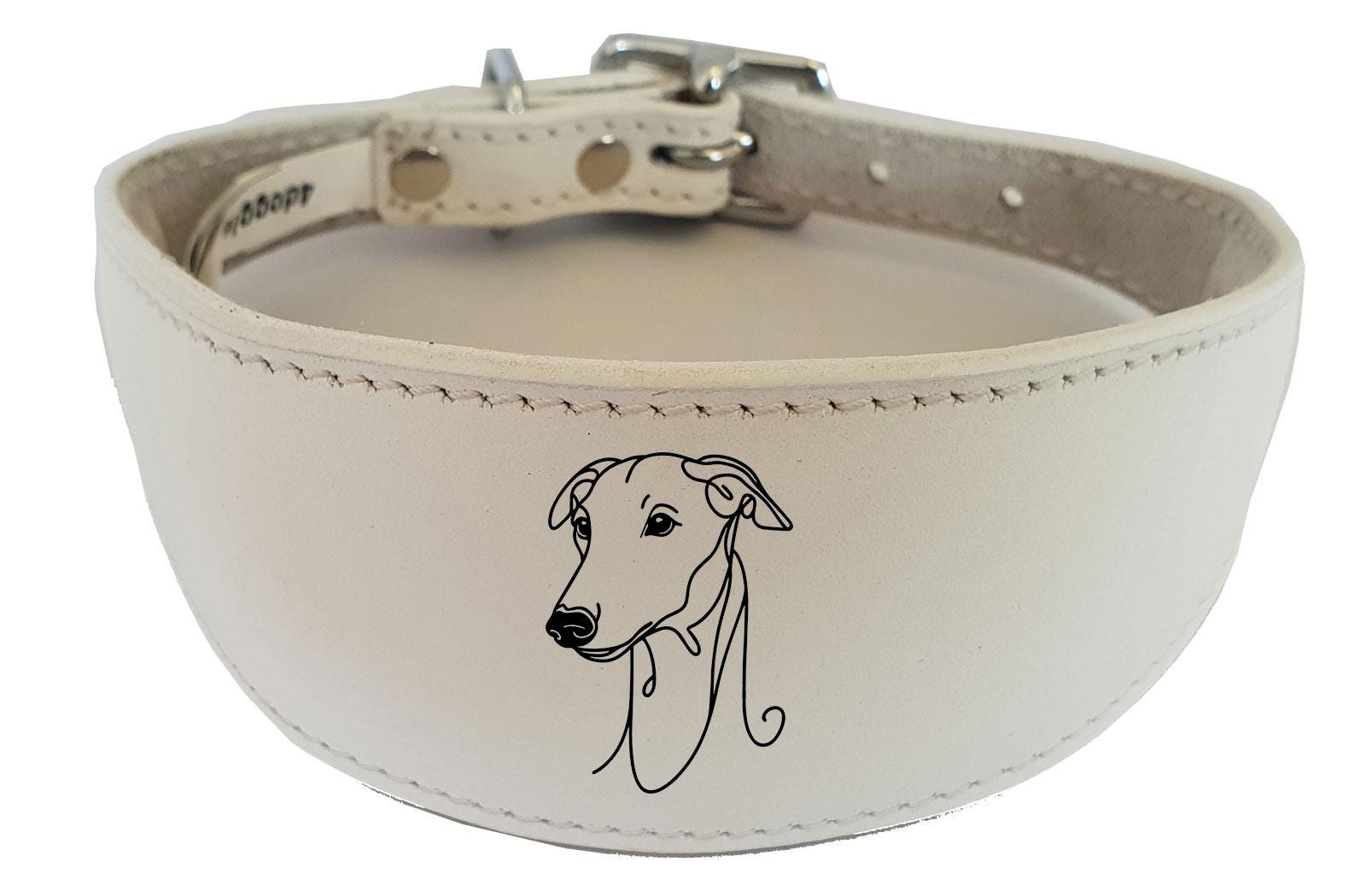 Luxury Sighthound Padded Leather Whippet Greyhound Collar in the UK NL 22