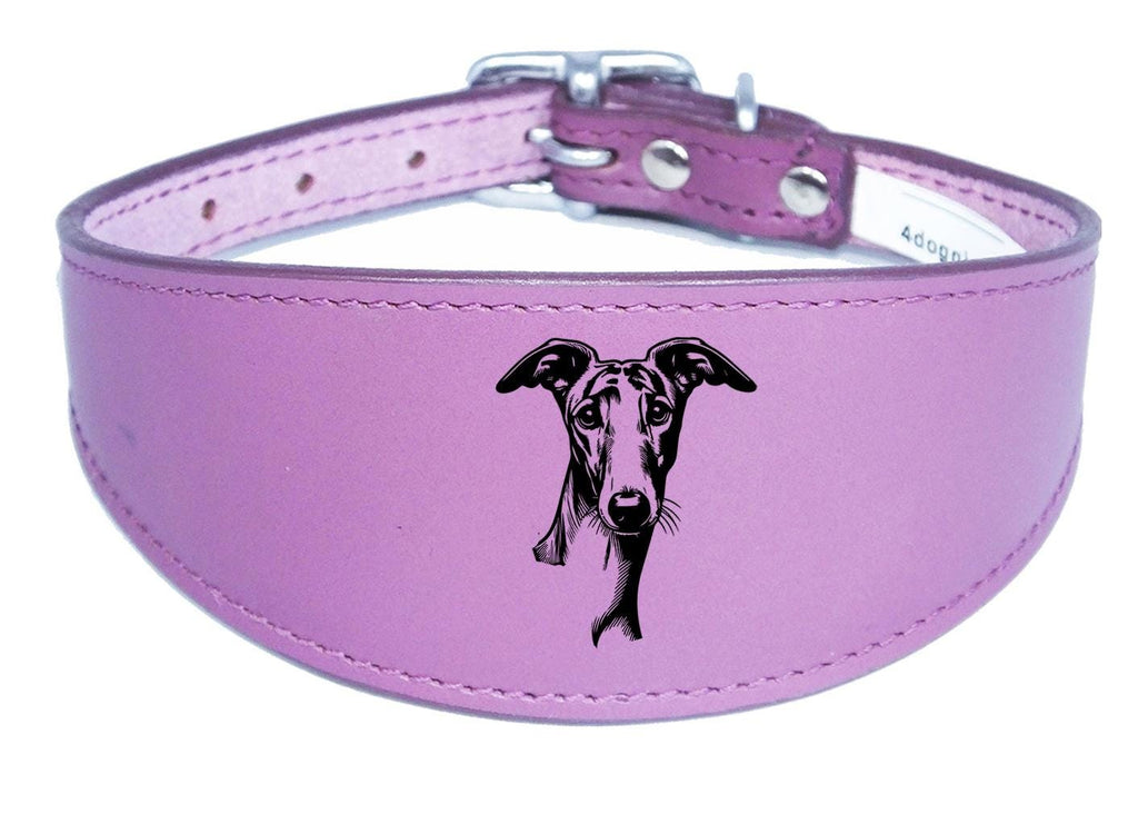 Whippet Greyhound Handmade Wide Leather Collar For Sighthound NL 42
