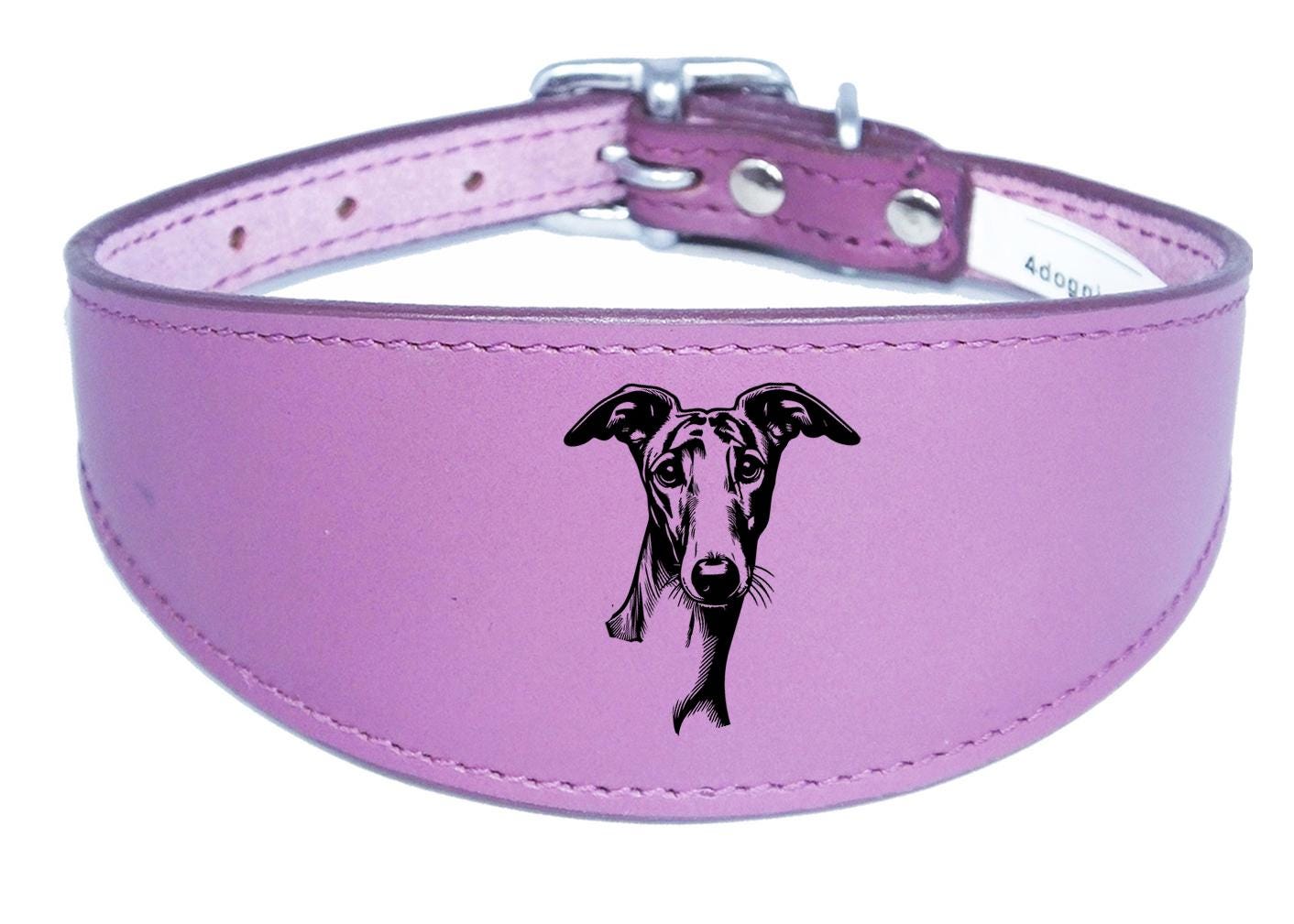 Whippet Greyhound Handmade Wide Leather Collar For Sighthound NL 42