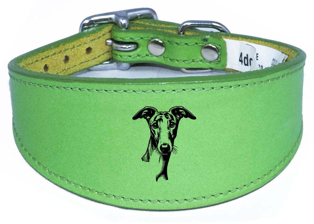 Whippet Greyhound Handmade Wide Leather Collar For Sighthound NL 42