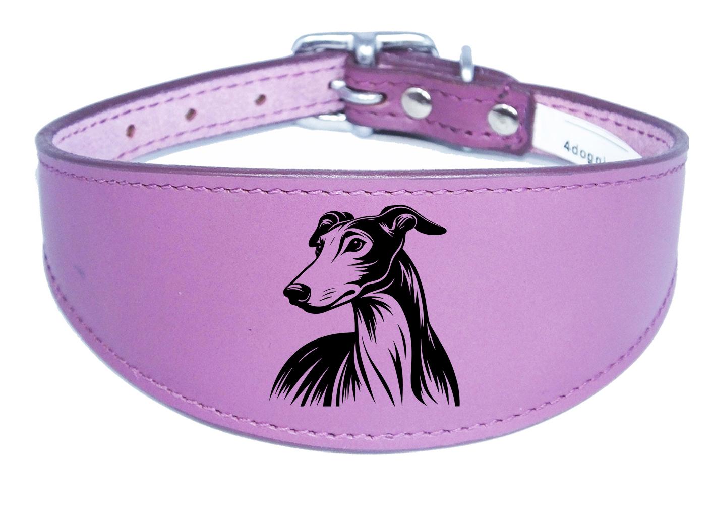 Whippet Greyhound Sighthound Padded Leather Luxury Collar NL 24