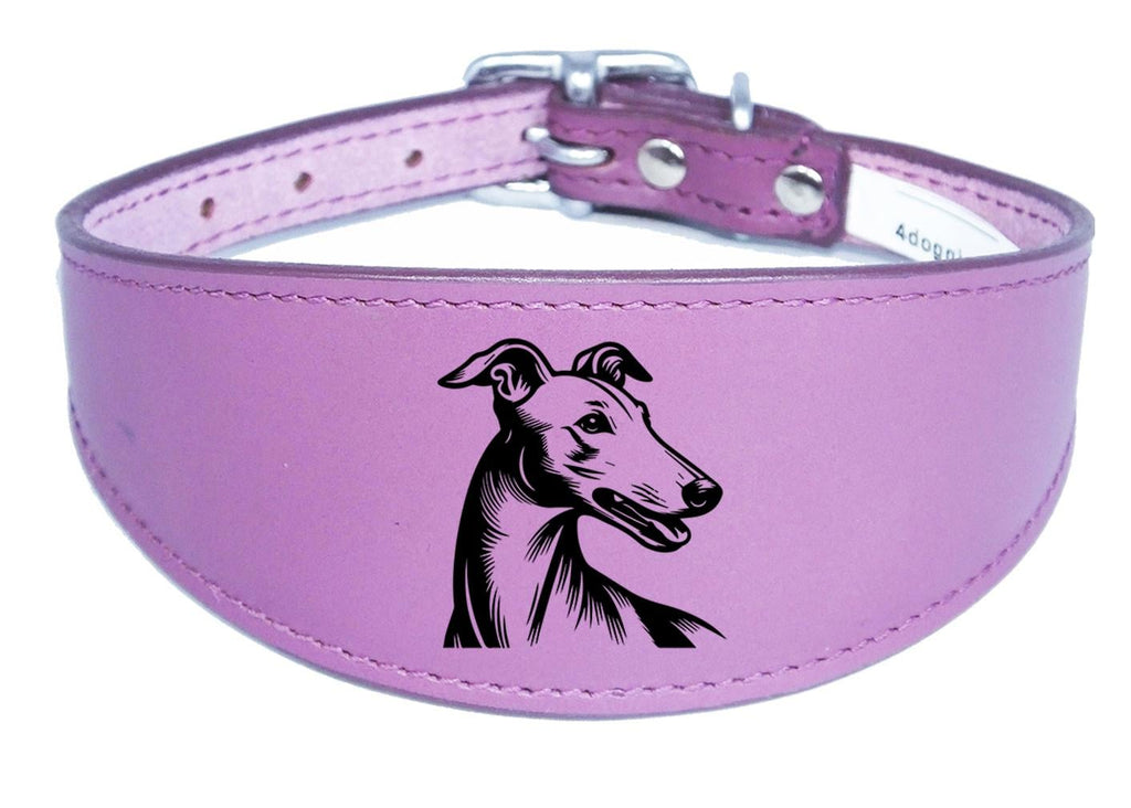 Sighthound Padded Leather Whippet Greyhound Luxury Collar NL 23