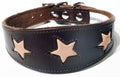 Brown Leather Whippet Collar Greyhound Collar With Tan Star Design Sighthound Dogs