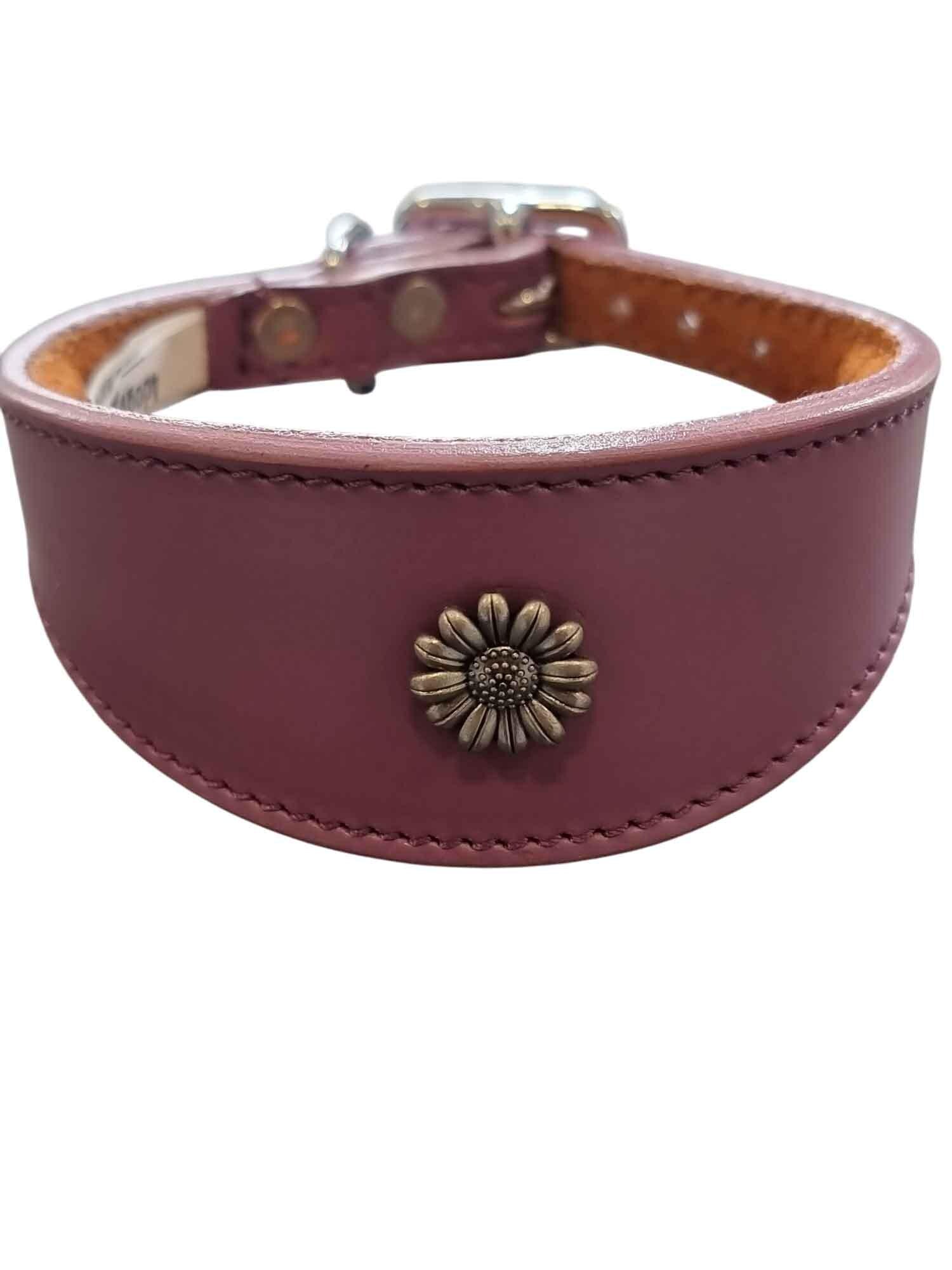 Iggy, Whippet, Greyhound, Lurcher Leather Collar Decorative Stud Design DS 4