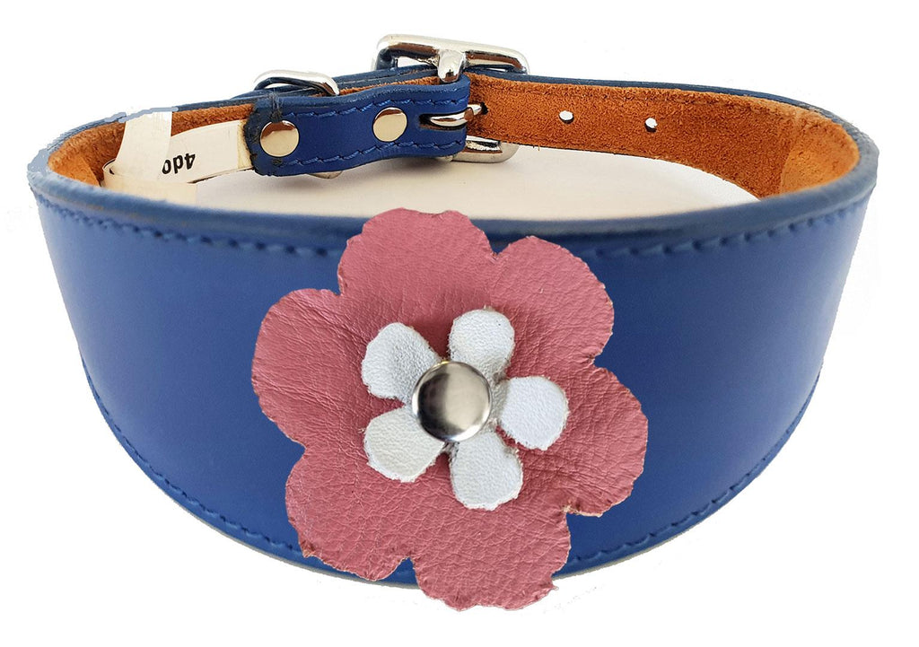Decorative Flower Design Whippet Greyhound Sighthound Lurcher Leather Collar FD6-7