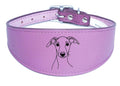 Wide Whippet Dog Collar Greyhound Sighthound  with Padded Backing NL 12