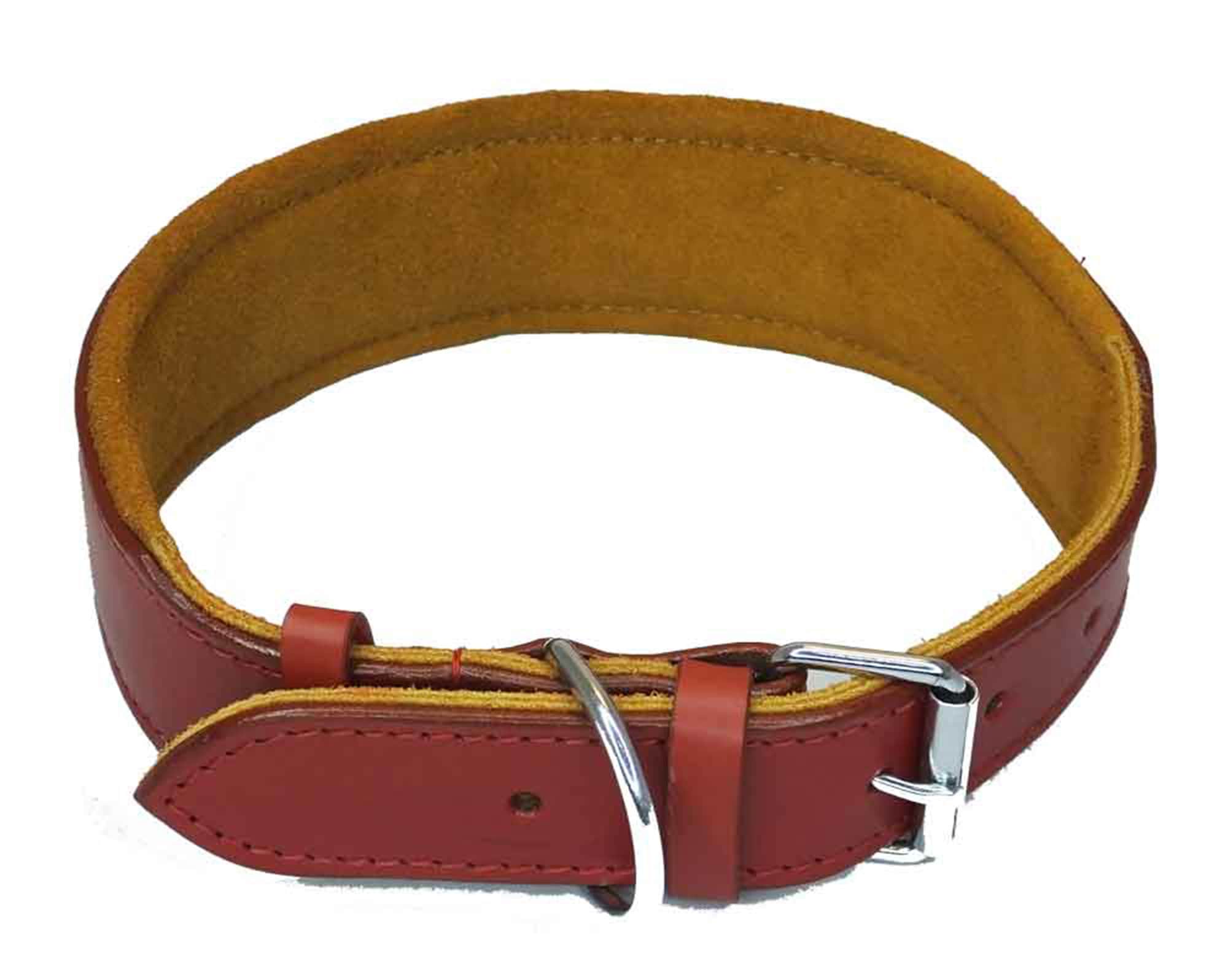Leather Padded collar Staffordshire Bull Terrier Dog Collar Padded Dog Collars Staffy Bulldog D20