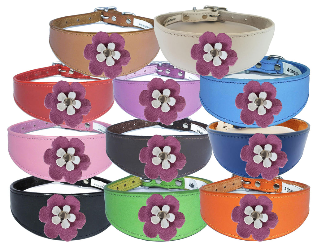 Decorative Flower Design Leather Collar For Sighthound Whippet Greyhound Lurcher FD2-7