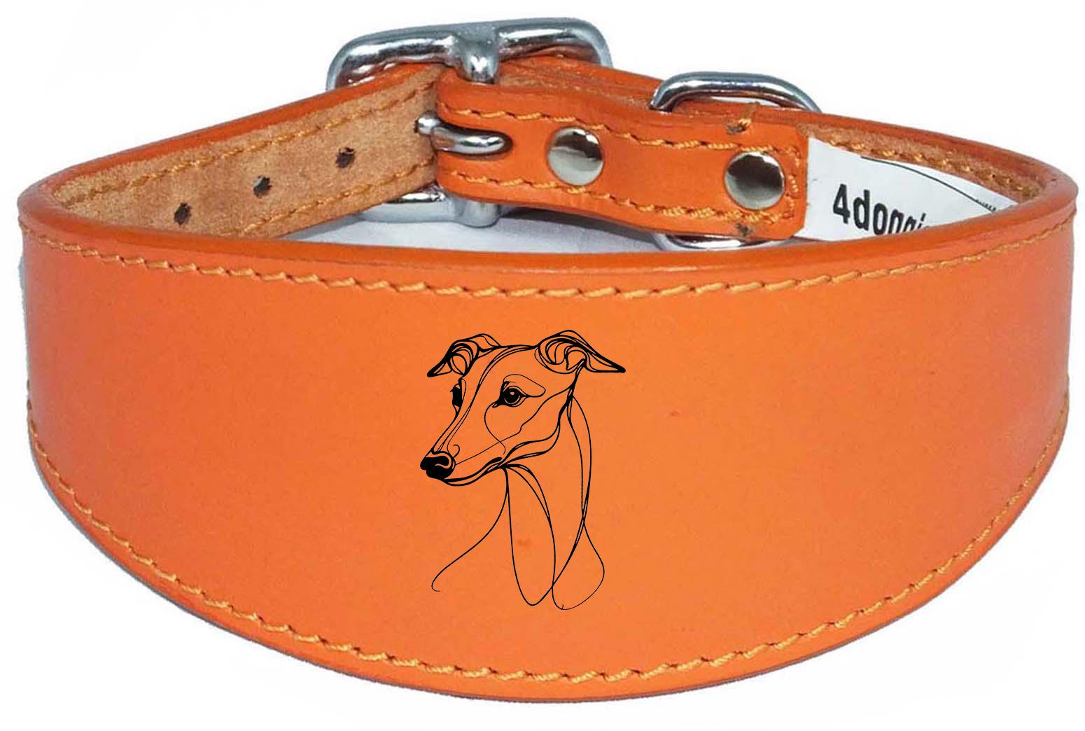 Luxury Padded Sighthound Leather Whippet Collar Handmade in the UK NL 21