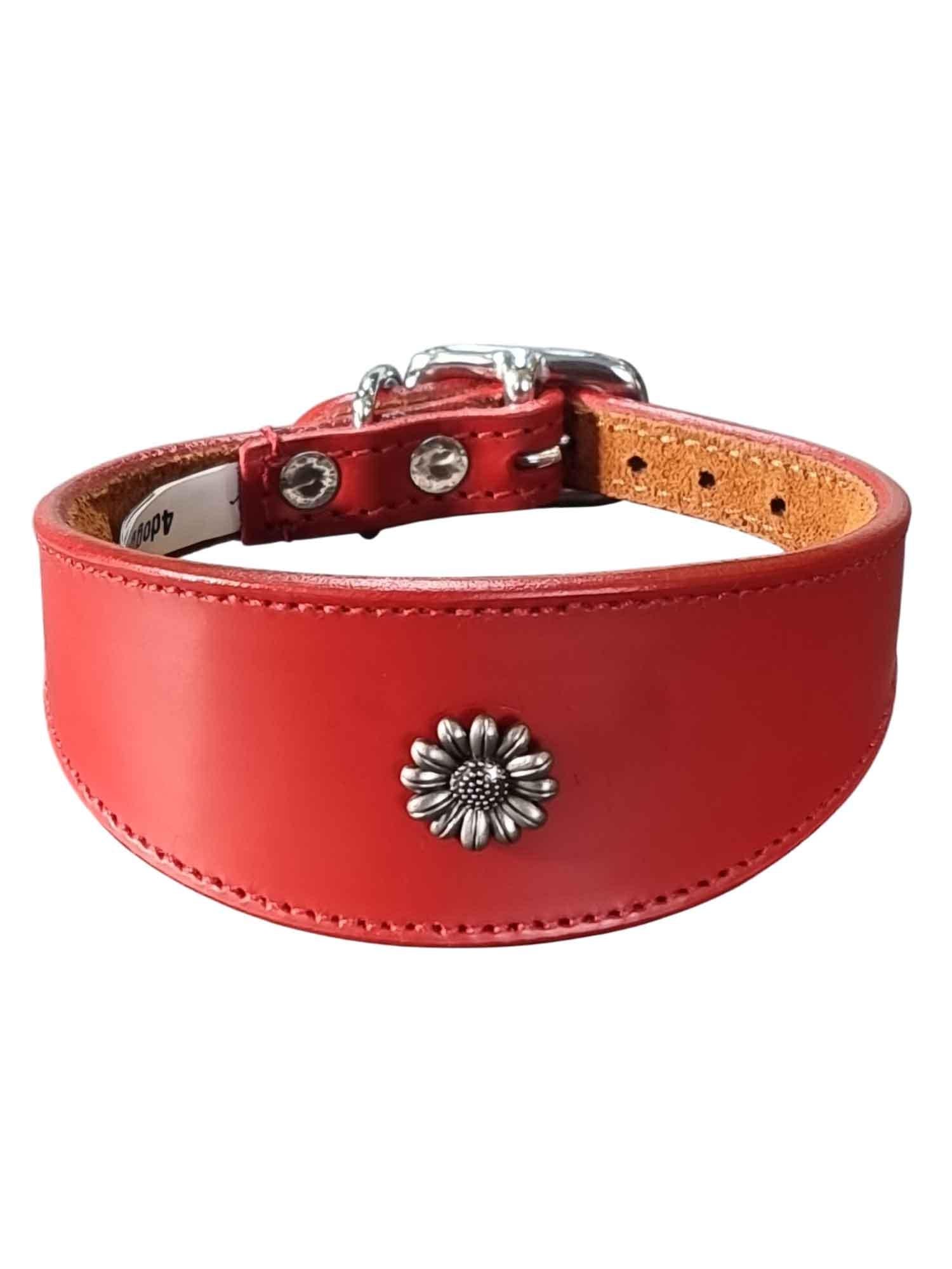 Iggy, Whippet, Greyhound, Lurcher Leather Collar Decorative Stud Design DS 4