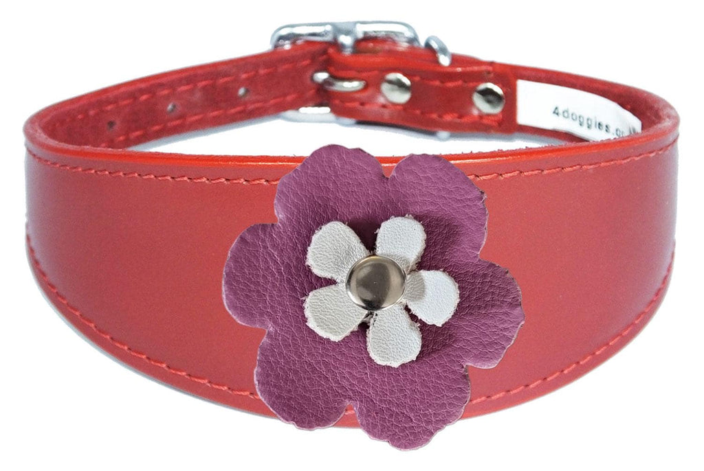 Decorative Flower Design Leather Collar For Sighthound Whippet Greyhound Lurcher FD2-7