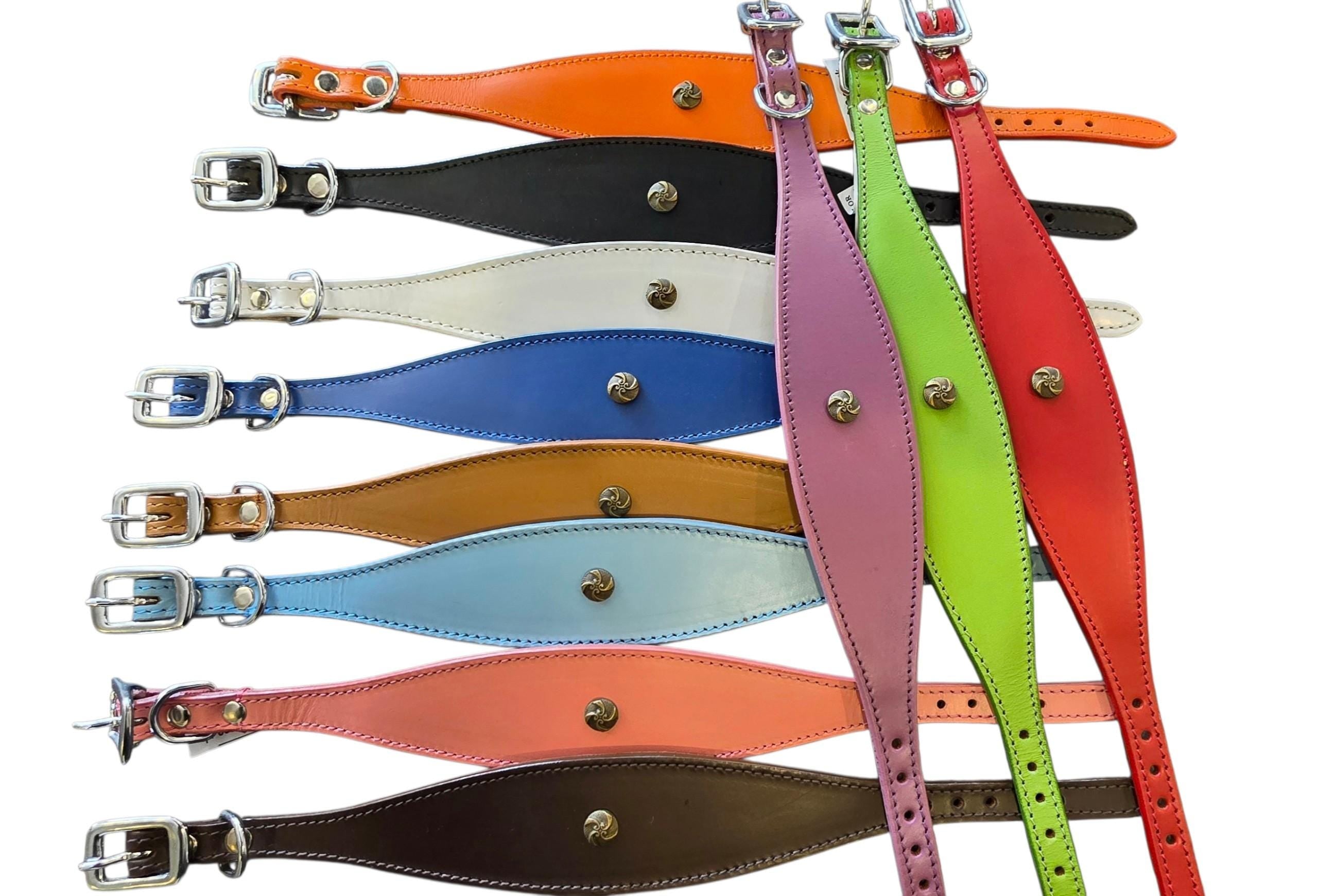 Leather Collar For Sighthound Whippet Greyhound Lurcher Decorative Stud Design DS8