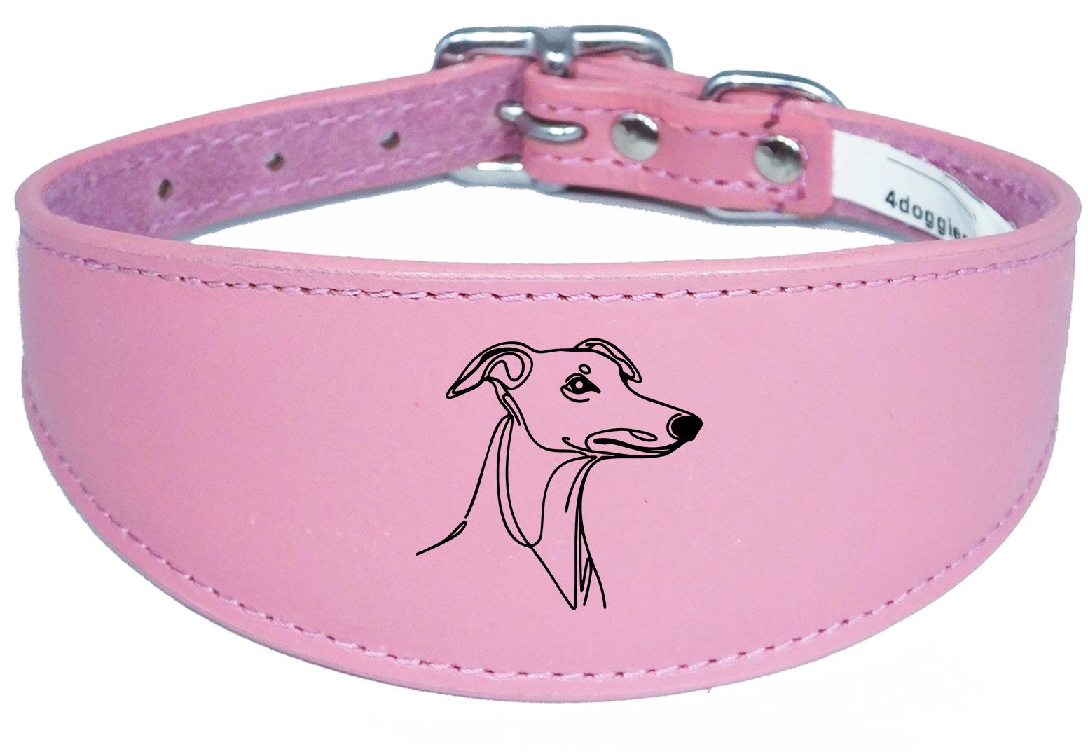 Padded Leather Collar Iggy Greyhound Whippet Sighthound NL 29