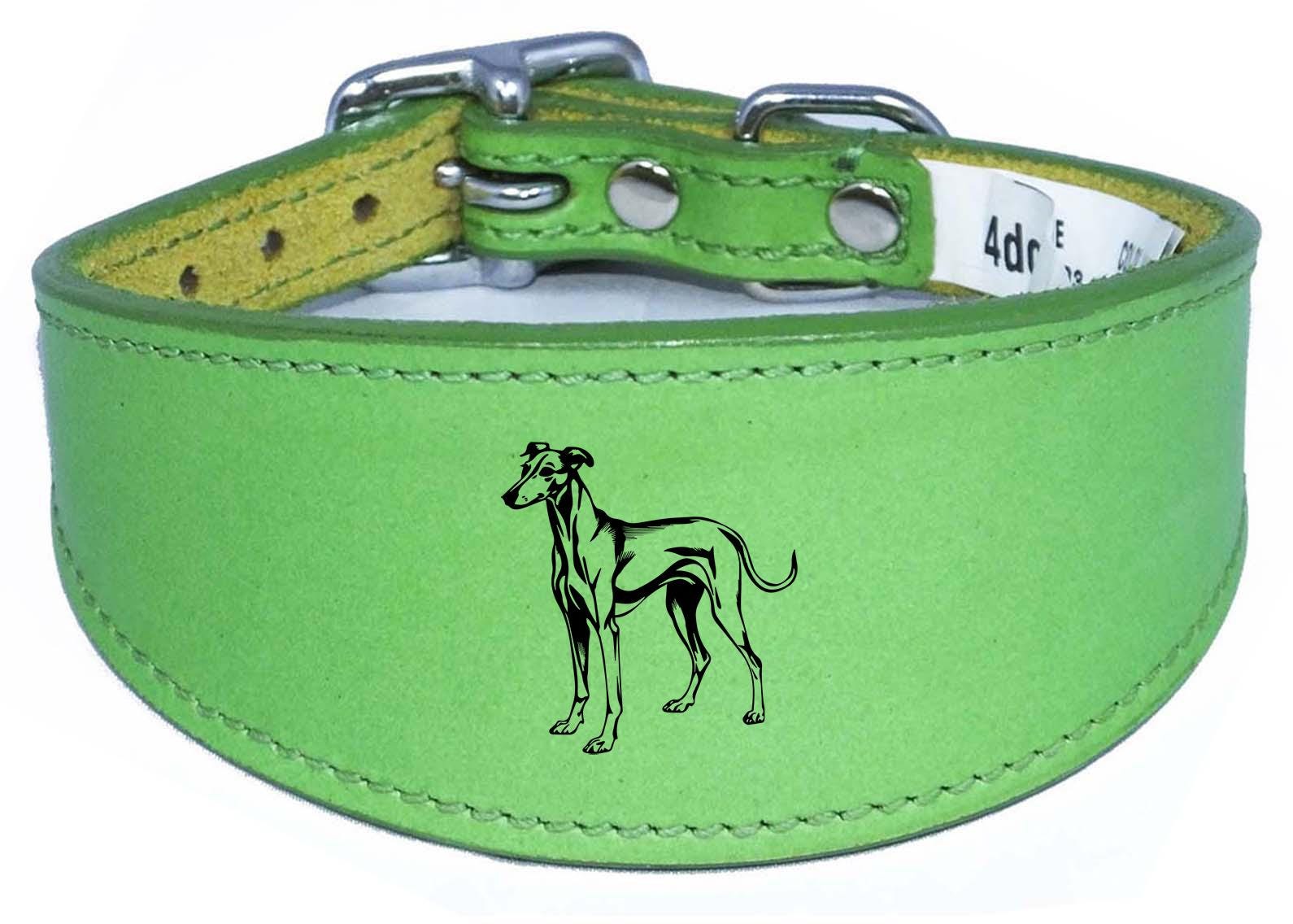 Whippet Greyhound Sighthound Padded Leather Luxury Collar NL 25