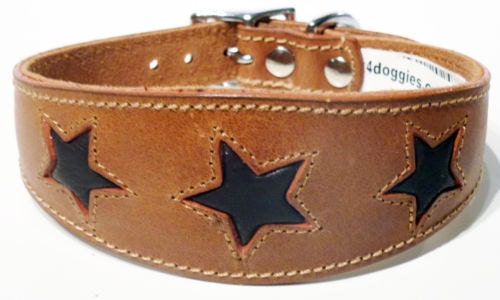 Tan Leather Whippet Collar Greyhound Collar With Brown Star Design Sighthound Dogs