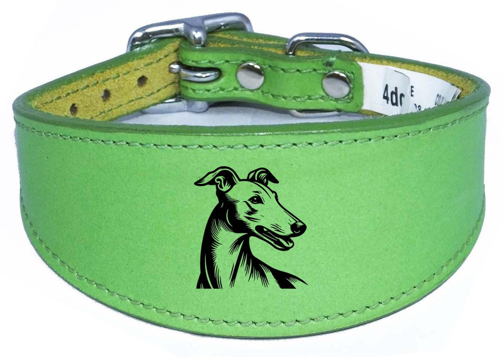 Sighthound Padded Leather Whippet Greyhound Luxury Collar NL 23