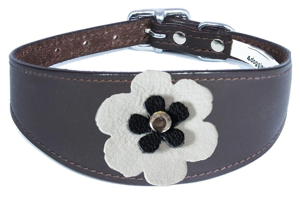 Whippet Greyhound Sighthound Lurcher Decorative Flower Design Leather Collar FD7-5