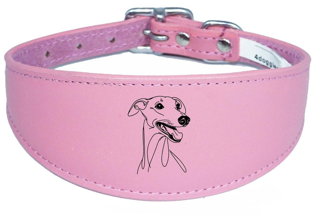 Leather Sighthound Greyhound Whippet Dog Collar with Padded Backing NL 4