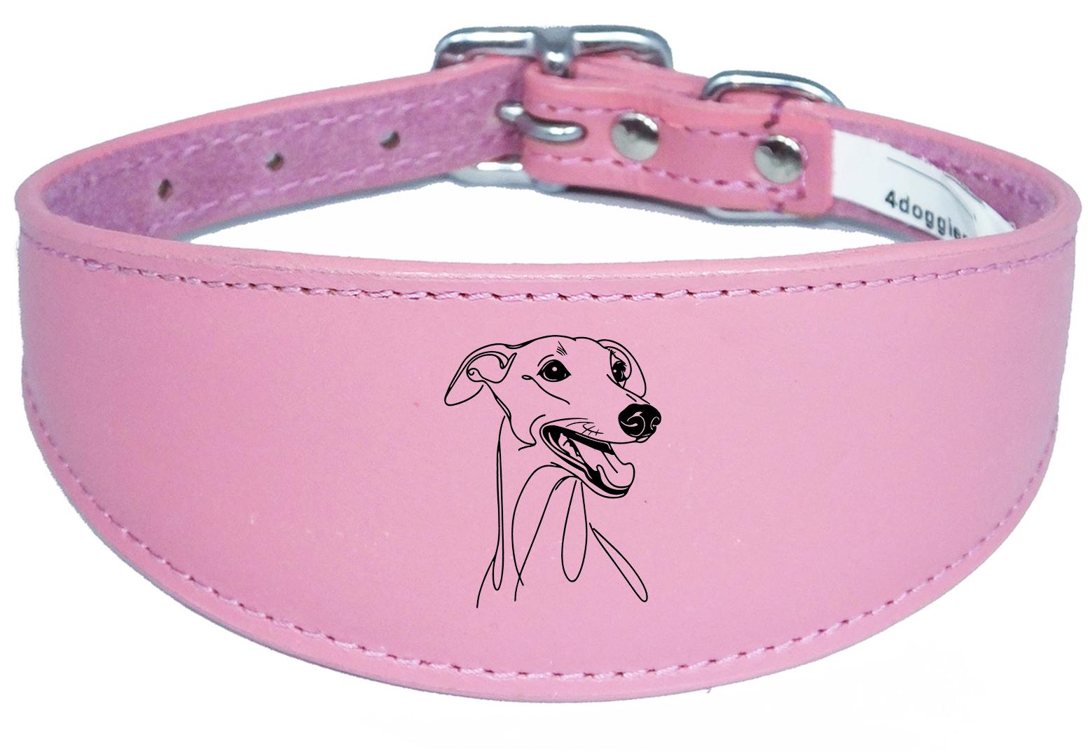 Leather Sighthound Greyhound Whippet Dog Collar with Padded Backing NL 4