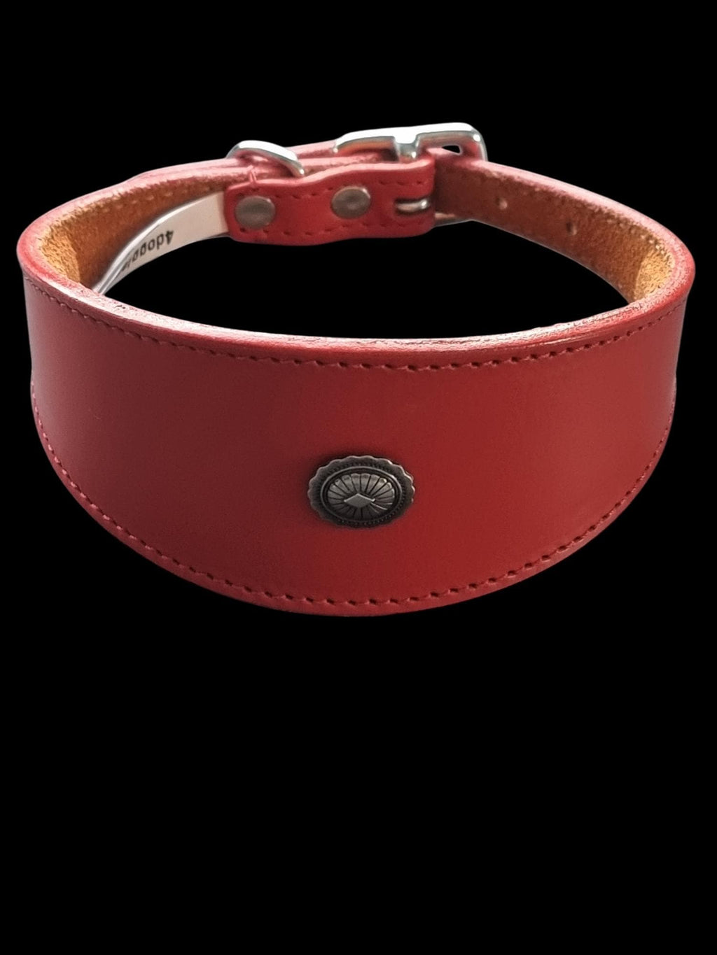 Leather Collar For Iggy, Whippet Greyhound Lurcher Decorative Stud Design DS2