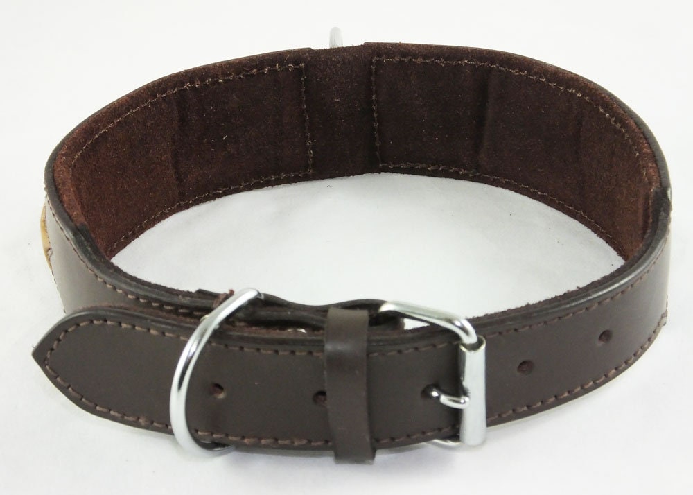 Leather Padded collar Staffordshire Bull Terrier Dog Collar Padded Dog Collars Staffy Bulldog Stars