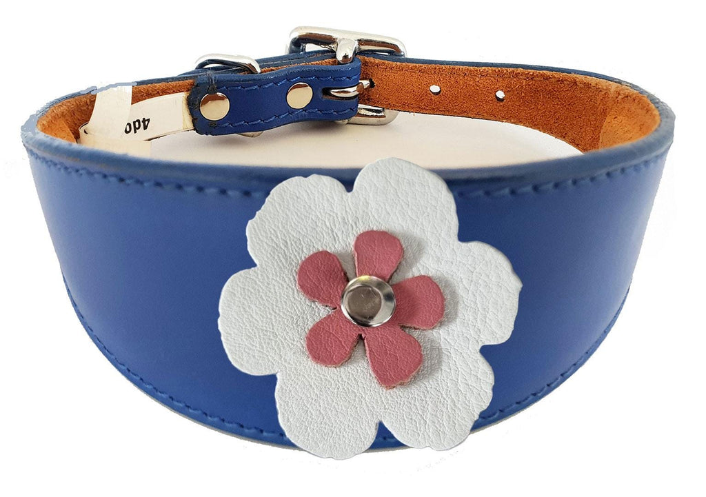 Whippet Greyhound Sighthound Lurcher Decorative Flower Design Leather Collar FD7-6